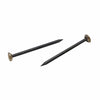 Brass Capped Steel Nails - pack of 100