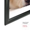 Frameware LLC 8.5" x 11" | Black Snap Frames | Front Loading Aluminum Frames